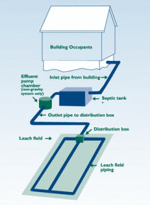 septic-system-diagram